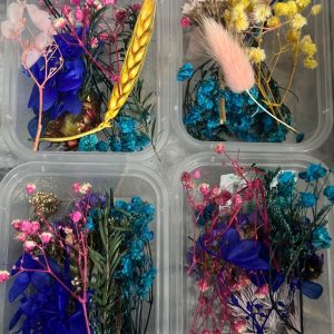 Dried & Preserved Flowers – Random Colours