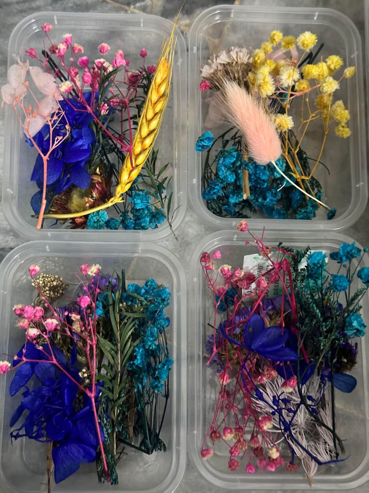 Dried & Preserved Flowers – Random Colours